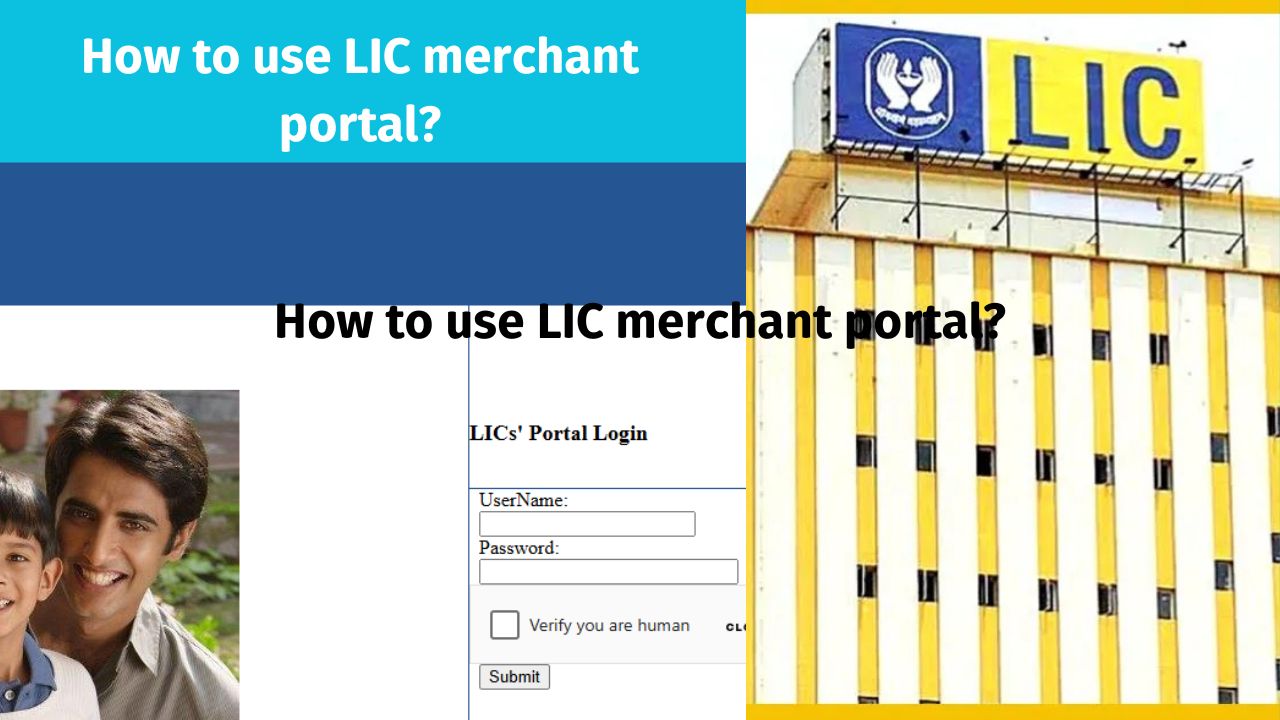 Read more about the article How to Use LIC Merchant Portal?